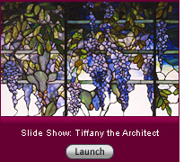 Click here to launch a slide show.