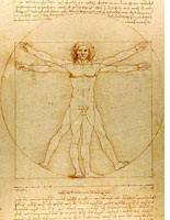 Vitruvian Man by Leonardo da Vinci. Click image to expand.