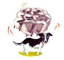 Illustration by Nina Frenkel. Click image to expand.