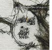 CD Cover