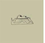 Veneer by Jose Gonzalez