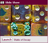 Click to view a slide show.