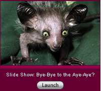 Click here for a slide show