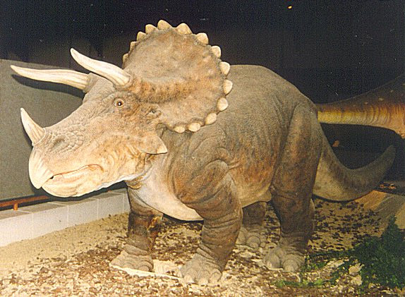 Triceratops statue at the Royal Belgian Institute of Natural Sciences.