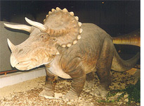 Triceratops statue at the Royal Belgian Institute of Natural Sciences
Click image to expand.
