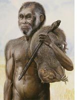 Homo floresiensis: small is beautiful