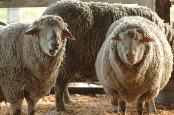 "I totally quit ewe!"