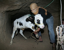 Gaza tunnel. Click image to expand.