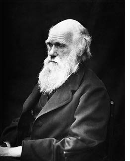 Photograph of Charles Darwin by by J. Cameron, 1869.