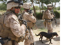 Photograph of Marines with dog by by Joe Raedle/Getty Images.