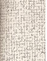 A "cross-written" letter from the Peabody sisters
Click image to expand.