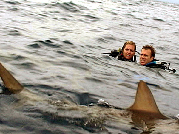 Open Water.