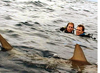 Open Water. Click image to expand.