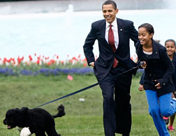 The Obamas and Bo. Click image to expand.