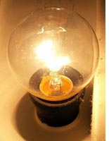 Bulb.