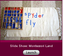 Click image to launch a slide show
