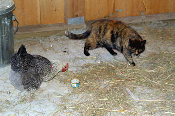 Henrietta and Mother