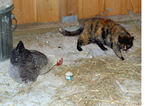 Henrietta and Mother. Click image to expand.