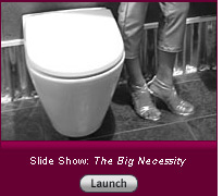Click here to launch a slide show on The Big Necessity.