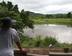 Kruger National Park. Click image to expand.