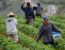 Farm laborers. Click image to expand.