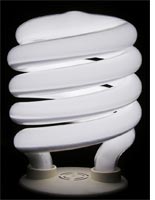 Compact fluorescent light bulb. Click image to expand.