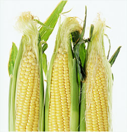 Corn.