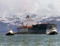 Exxon Valdez. Click image to expand.