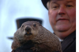 (Photo of Punxsutawney Phil by Jeff Swensen/Getty Images)