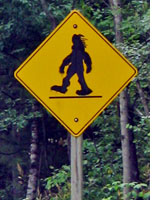 A myth as imaginery as Sasquatch. Photo by Angie Chauvin/Shutterstock/Getty Images.