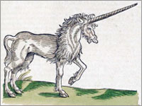 A myth as imaginery as a unicorn.