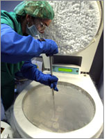 A doctor takes out preserved semen in liquid nitrogen. Photograph by Josep Lago/Getty Images.