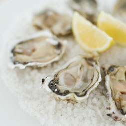 Are the pleasures of raw Gulf oysters worth the giant risks?