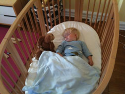 Will asleep. Click image to expand.