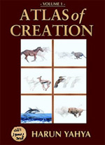 Atlas of Creation, volume 2 by Harun Yahya.