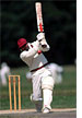 Cricket