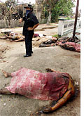 A scene from the massacre