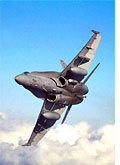 Terror from the skies