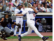 Shawn Green