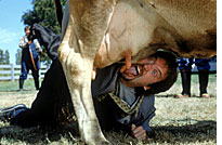 A scene from Freddy Got Fingered