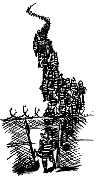 Illustration by Whiting Tennis