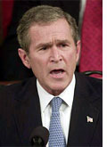 Bush