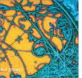 CD cover