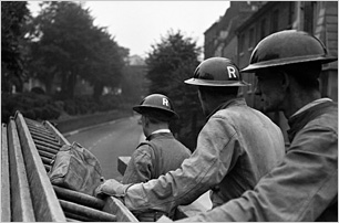 215/tp.jpg