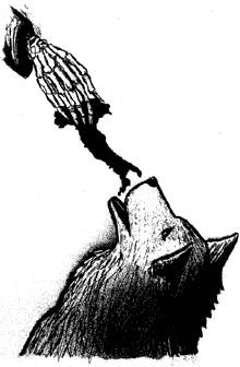 Illustration by Scott Cunningham