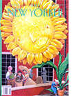 The New Yorker