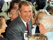 Bullish Bush