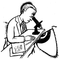 Illustration by Scott Cunningham