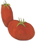 Illustration by Nina Frenkel