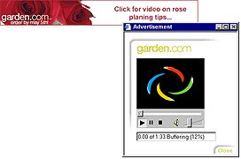 Streaming Video Banners